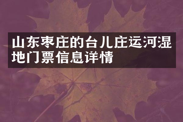 山东枣庄的台儿庄运河湿地门票信息详情