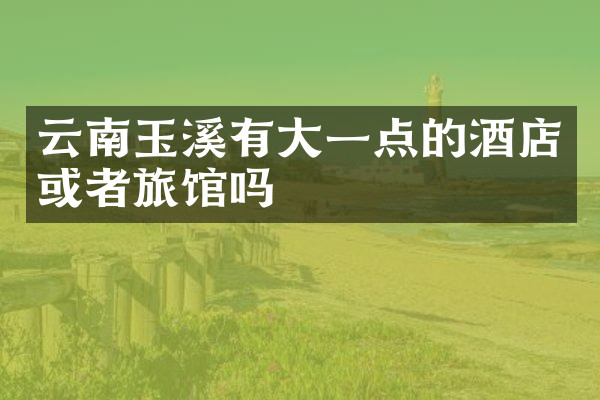 云南玉溪有大一点的酒店或者旅馆吗