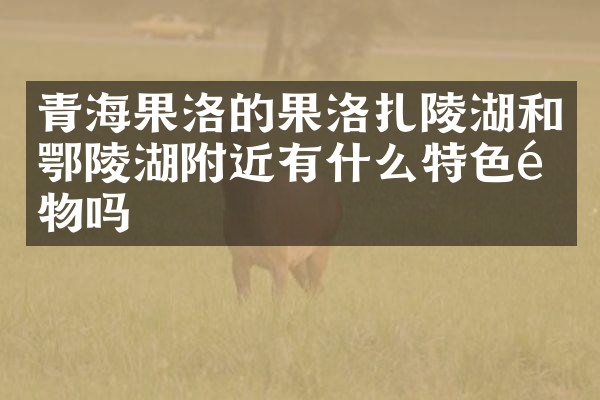 青海果洛的果洛扎陵湖和鄂陵湖附近有什么特色食物吗