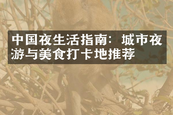 中国夜生活指南：城市夜游与美食打卡地推荐