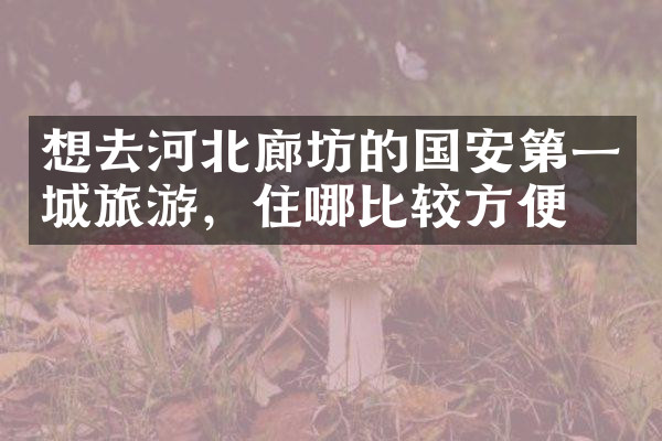 想去河北廊坊的国安第一城旅游，住哪比较方便