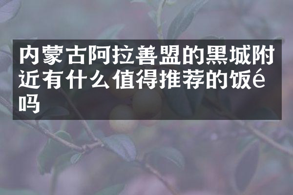 内蒙古阿拉善盟的黑城附近有什么值得推荐的饭馆吗