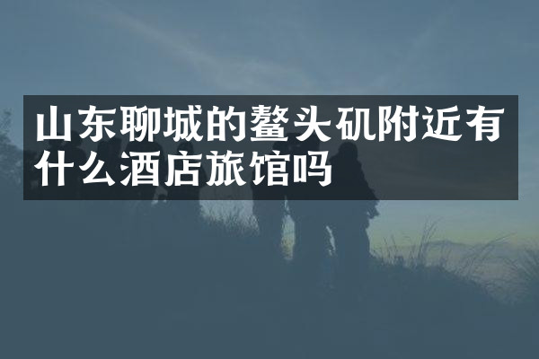 山东聊城的鳌头矶附近有什么酒店旅馆吗
