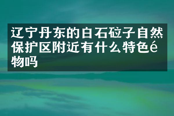 辽宁丹东的白石砬子自然保护区附近有什么特色食物吗