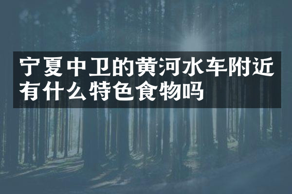 宁夏中卫的黄河水车附近有什么特色食物吗