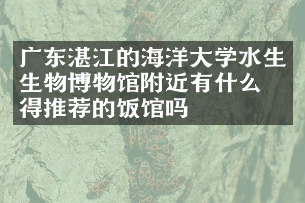 广东湛江的海洋大学水生生物博物馆附近有什么值得推荐的饭馆吗