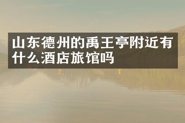 山东德州的禹王亭附近有什么酒店旅馆吗