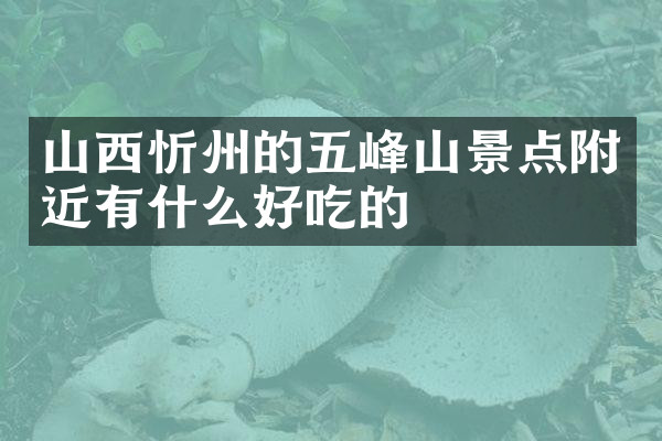 山西忻州的五峰山景点附近有什么好吃的