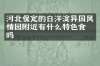 河北保定的白洋淀异国风情园附近有什么特色食物吗