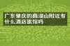 广东肇庆的鼎湖山附近有什么酒店旅馆吗