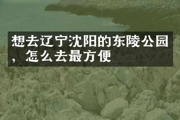 想去辽宁沈阳的东陵公园，怎么去最方便