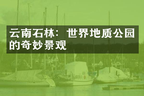 云南石林：世界地质公园的奇妙景观