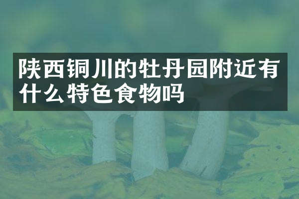 陕西铜川的牡丹园附近有什么特色食物吗