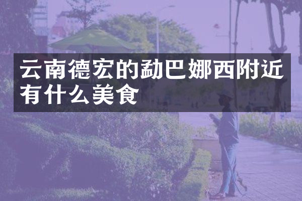 云南德宏的勐巴娜西附近有什么美食