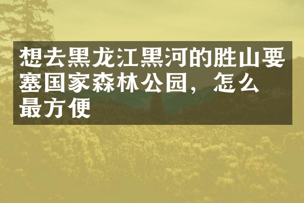 想去黑龙江黑河的胜山要塞国家森林公园，怎么去最方便