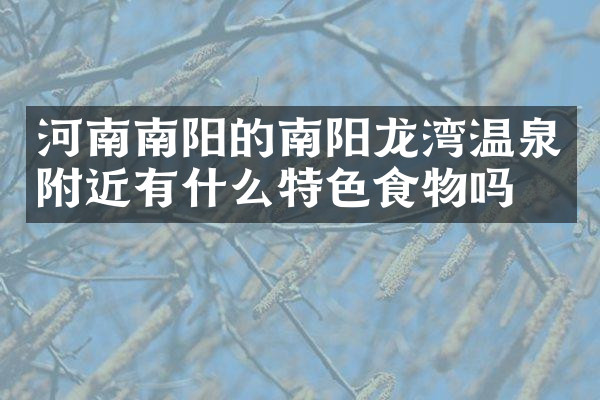 河南南阳的南阳龙湾温泉附近有什么特色食物吗