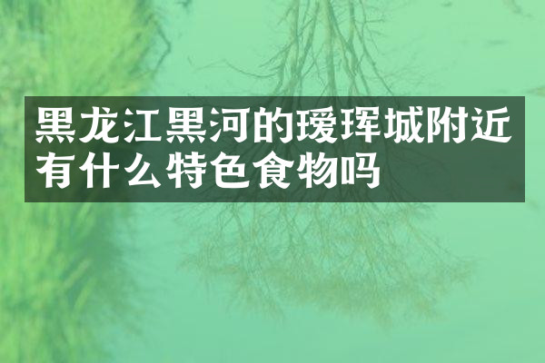 黑龙江黑河的瑷珲城附近有什么特色食物吗
