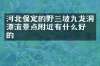 河北保定的野三坡九龙洞漂流景点附近有什么好吃的