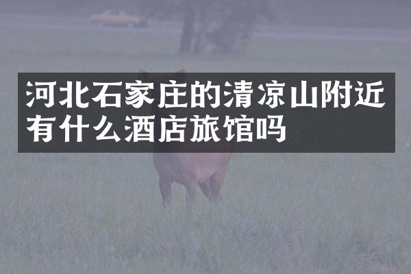 河北石家庄的清凉山附近有什么酒店旅馆吗