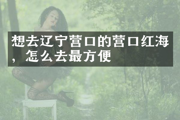 想去辽宁营口的营口红海，怎么去最方便