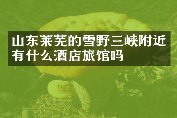 山东莱芜的雪野三峡附近有什么酒店旅馆吗