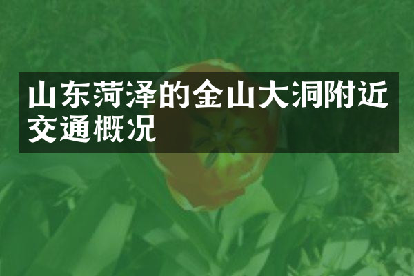 山东菏泽的金山大洞附近交通概况