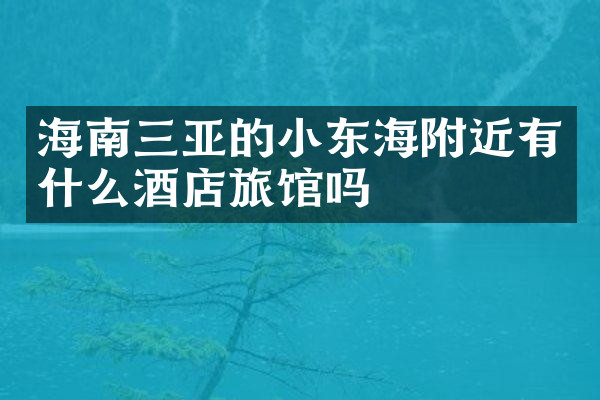 海南三亚的小东海附近有什么酒店旅馆吗