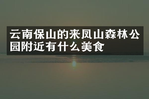 云南保山的来凤山森林公园附近有什么美食