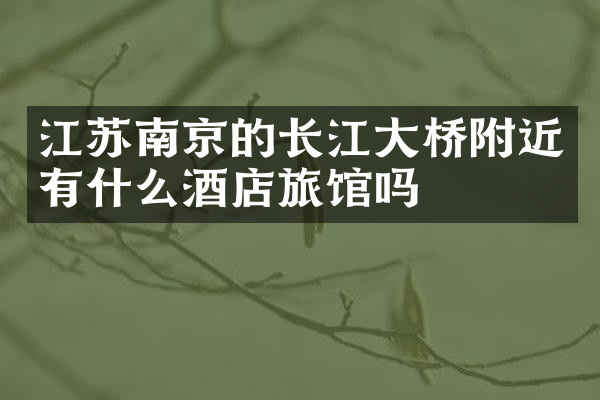 江苏南京的长江大桥附近有什么酒店旅馆吗