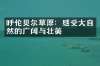 呼伦贝尔草原：感受大自然的广阔与壮美