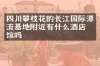 四川攀枝花的长江国际漂流基地附近有什么酒店旅馆吗