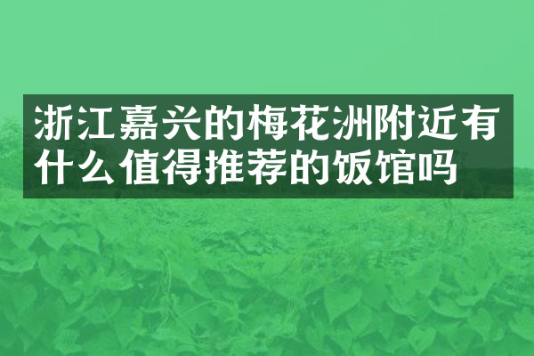 浙江嘉兴的梅花洲附近有什么值得推荐的饭馆吗