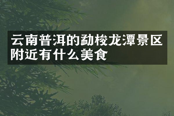云南普洱的勐梭龙潭景区附近有什么美食