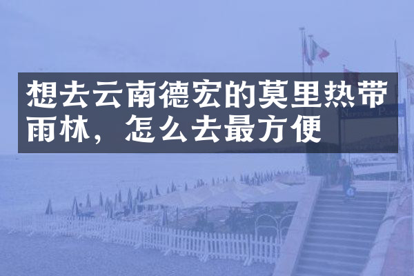 想去云南德宏的莫里热带雨林，怎么去最方便