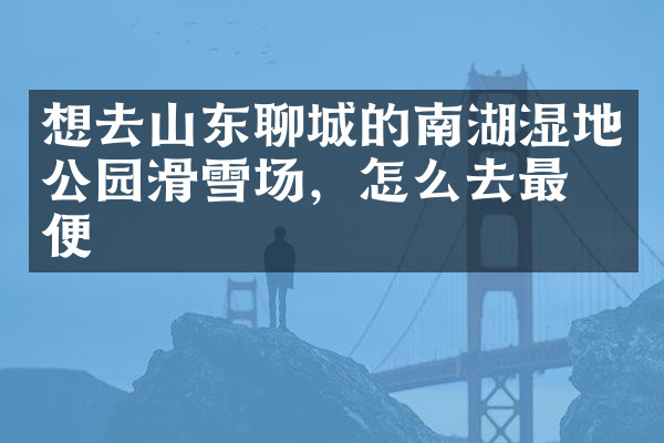 想去山东聊城的南湖湿地公园滑雪场，怎么去最方便