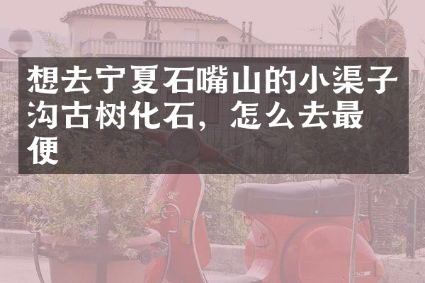 想去宁夏石嘴山的小渠子沟古树化石，怎么去最方便