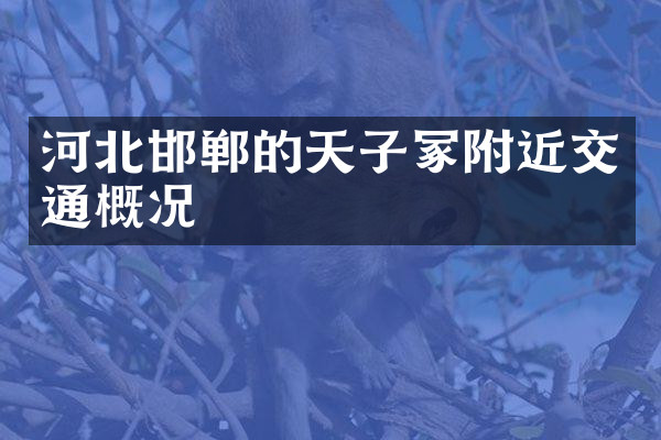 河北邯郸的天子冢附近交通概况