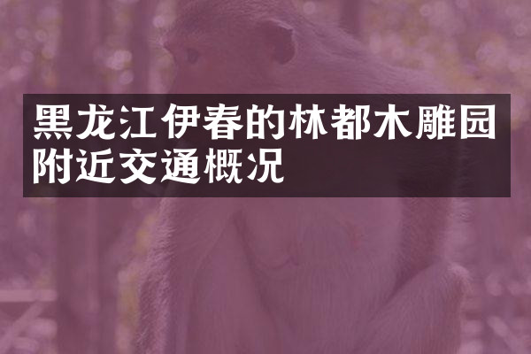 黑龙江伊春的林都木雕园附近交通概况