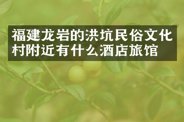 福建龙岩的洪坑民俗文化村附近有什么酒店旅馆吗