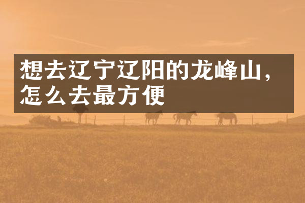 想去辽宁辽阳的龙峰山，怎么去最方便