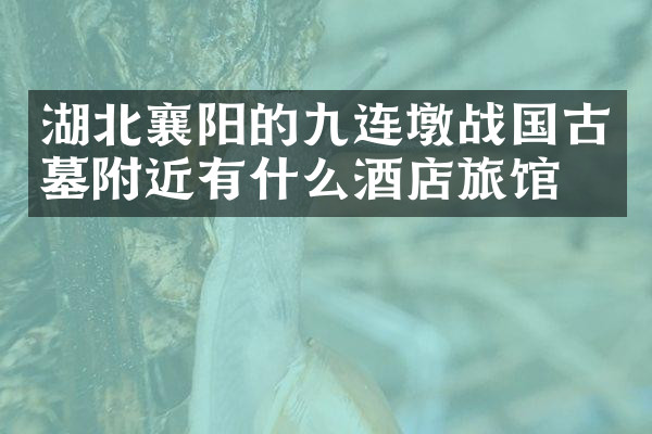 湖北襄阳的九连墩战国古墓附近有什么酒店旅馆吗