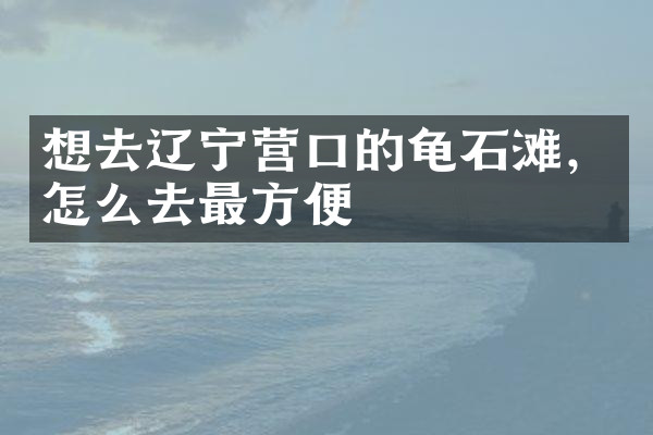 想去辽宁营口的龟石滩，怎么去最方便