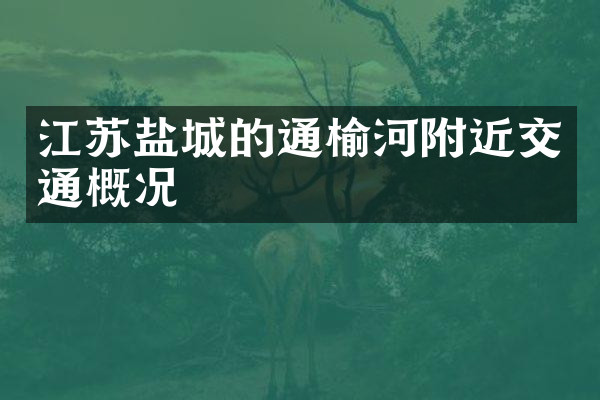 江苏盐城的通榆河附近交通概况
