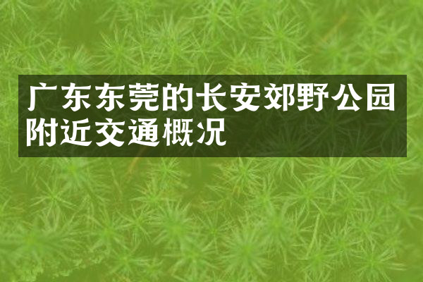 广东东莞的长安郊野公园附近交通概况