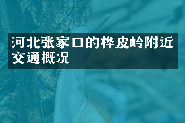 河北张家口的桦皮岭附近交通概况