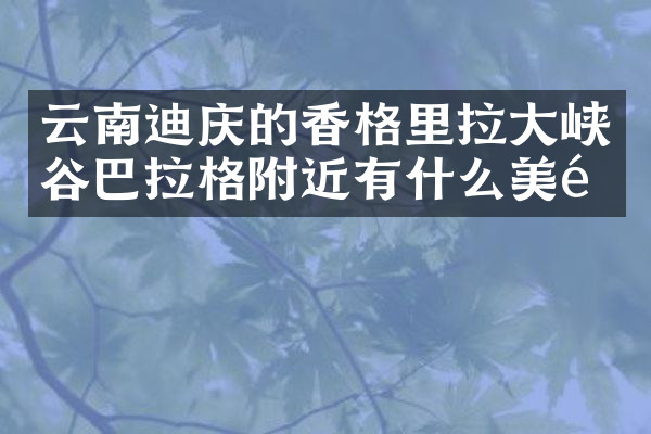云南迪庆的香格里拉大峡谷巴拉格附近有什么美食