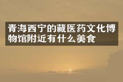 青海西宁的藏医药文化博物馆附近有什么美食