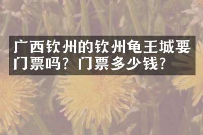 广西钦州的钦州龟王城要门票吗？门票多少钱？