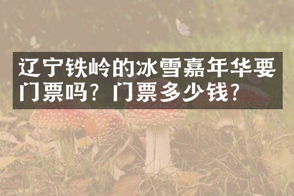 辽宁铁岭的冰雪嘉年华要门票吗？门票多少钱？