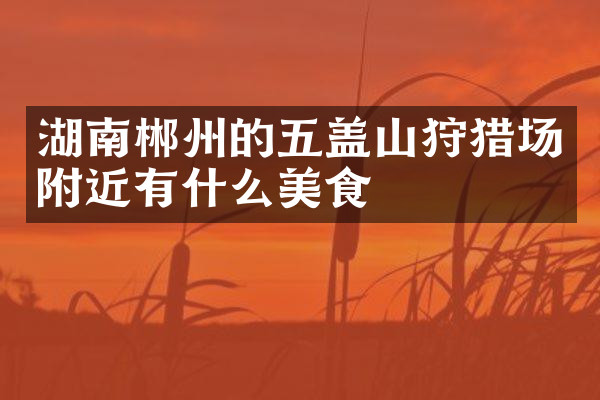 湖南郴州的五盖山狩猎场附近有什么美食
